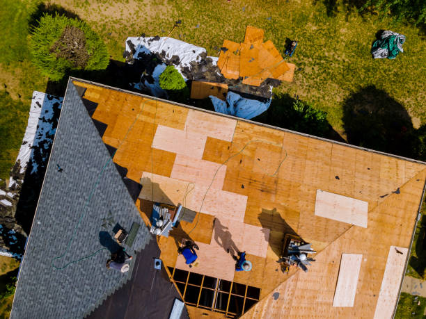 Best Roof Gutter Cleaning  in Jarales, NM